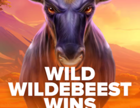 wild wildebeest wins